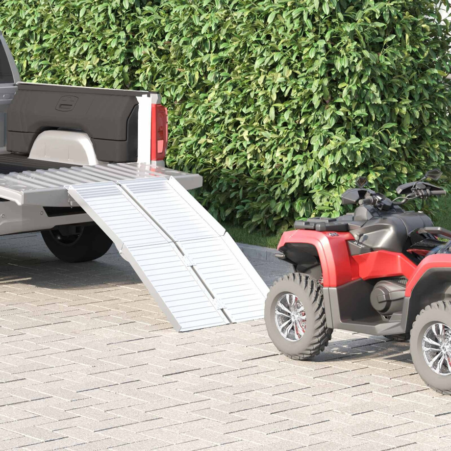 vidaXL Rolstoelhelling 270 kg Zilver 270 kg Aluminium afbeelding 1