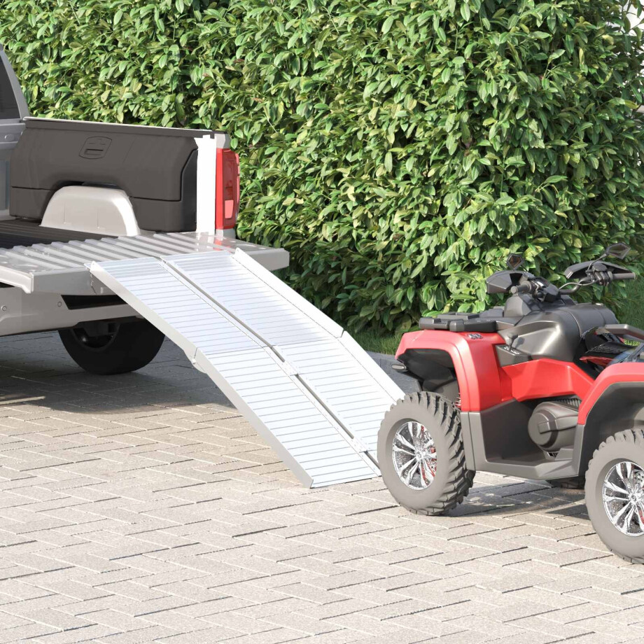 vidaXL Rolstoelhelling 270 kg Zilver 270 kg Aluminium afbeelding 1