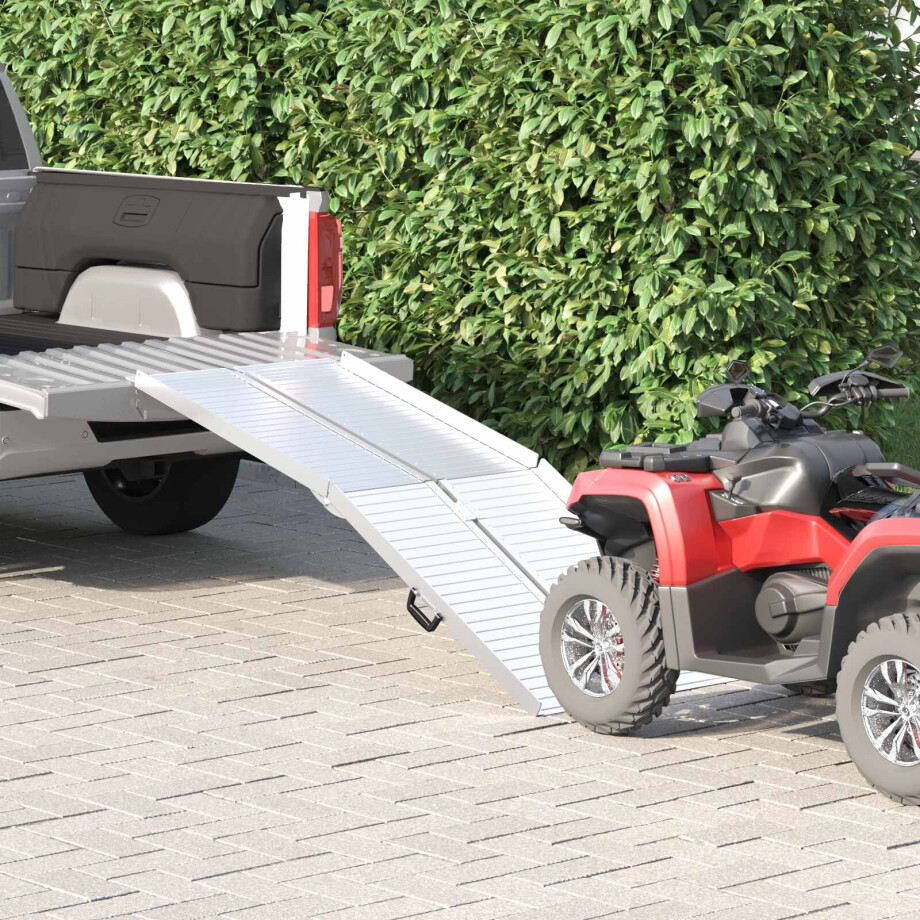 vidaXL Rolstoelhelling 270 kg Zilver 270 kg Aluminium afbeelding 1