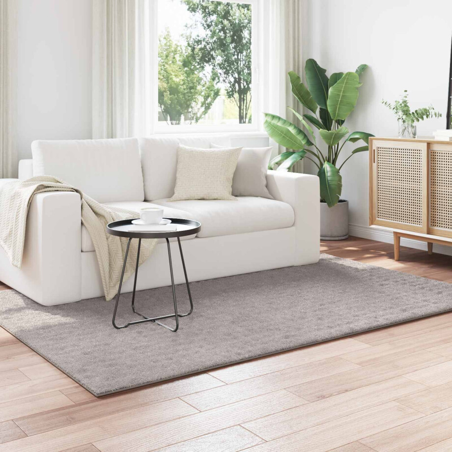 vidaXL Vloerkleden Rechthoekig SIROLO Zand 170 x 120 cm Polyester afbeelding 1