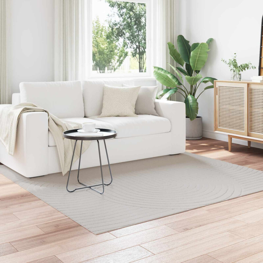 vidaXL Vloerkleden Rechthoekig SIROLO Zand 280 x 200 cm Polyester afbeelding 1
