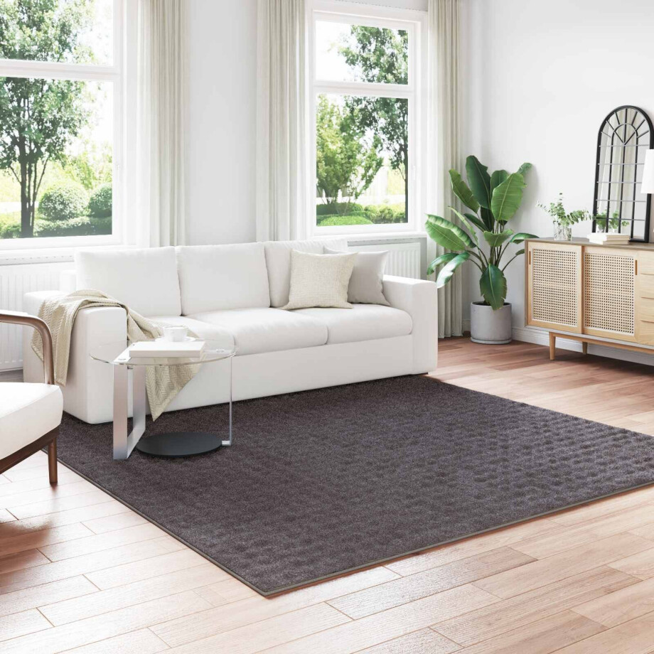 vidaXL Vloerkleden Vierkant SIROLO Antraciet 240 x 240 cm Polyester afbeelding 1