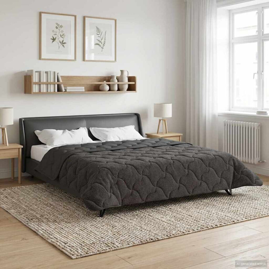 vidaXL Zomer Dekbed Antraciet 240 x 260 cm Microfiber en Teddy fleece vidaXL Zomer Dekbed Antraciet 240 x 260 cm Microfiber en Teddy fleece afbeelding 1