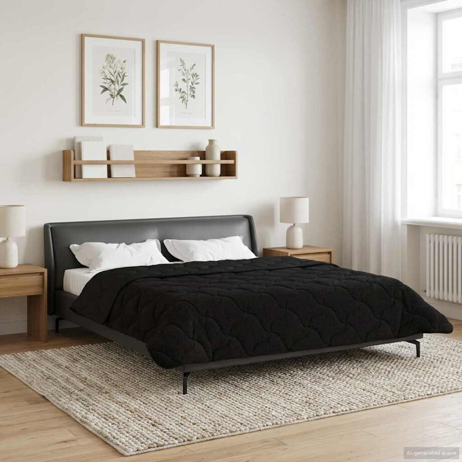 vidaXL Zomer Dekbed Zwart 200 x 220 cm Microfiber en Teddy fleece afbeelding 1