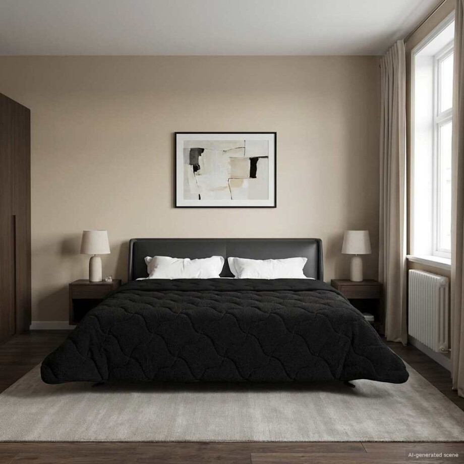 vidaXL Zomer Dekbed Zwart 220 x 260 cm Microfiber en Teddy fleece vidaXL Zomer Dekbed Zwart 220 x 260 cm Microfiber en Teddy fleece afbeelding 1