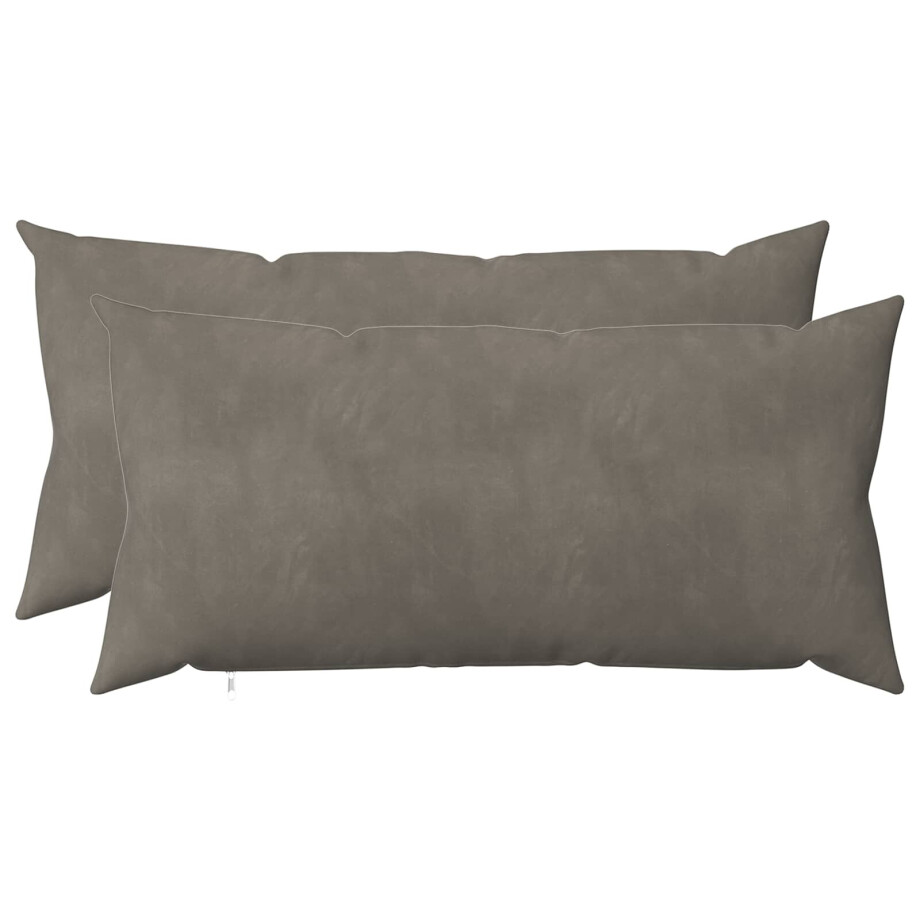 vidaXL Kussensloop 2 pcs HEERLEN Lichtgrijs 40 x 80 cm Fluweel vidaXL Kussensloop 2 pcs HEERLEN Lichtgrijs 40 x 80 cm Fluweel afbeelding 1
