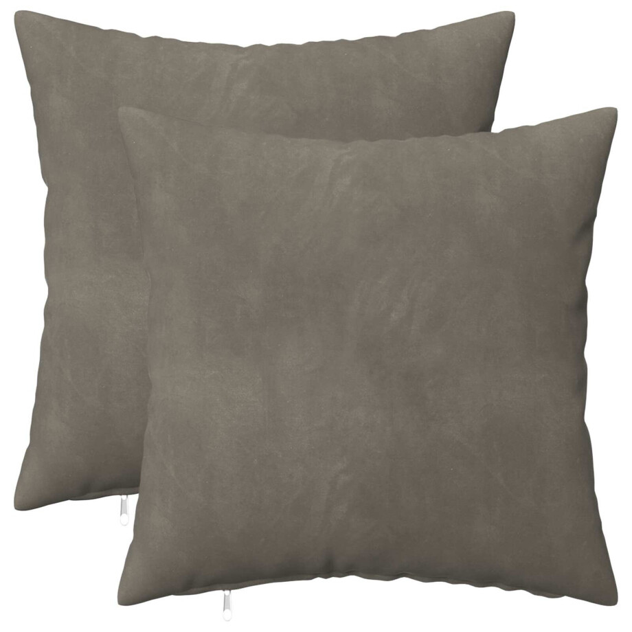 vidaXL Kussensloop 2 pcs HEERLEN Lichtgrijs 45 x 45 cm Fluweel afbeelding 1