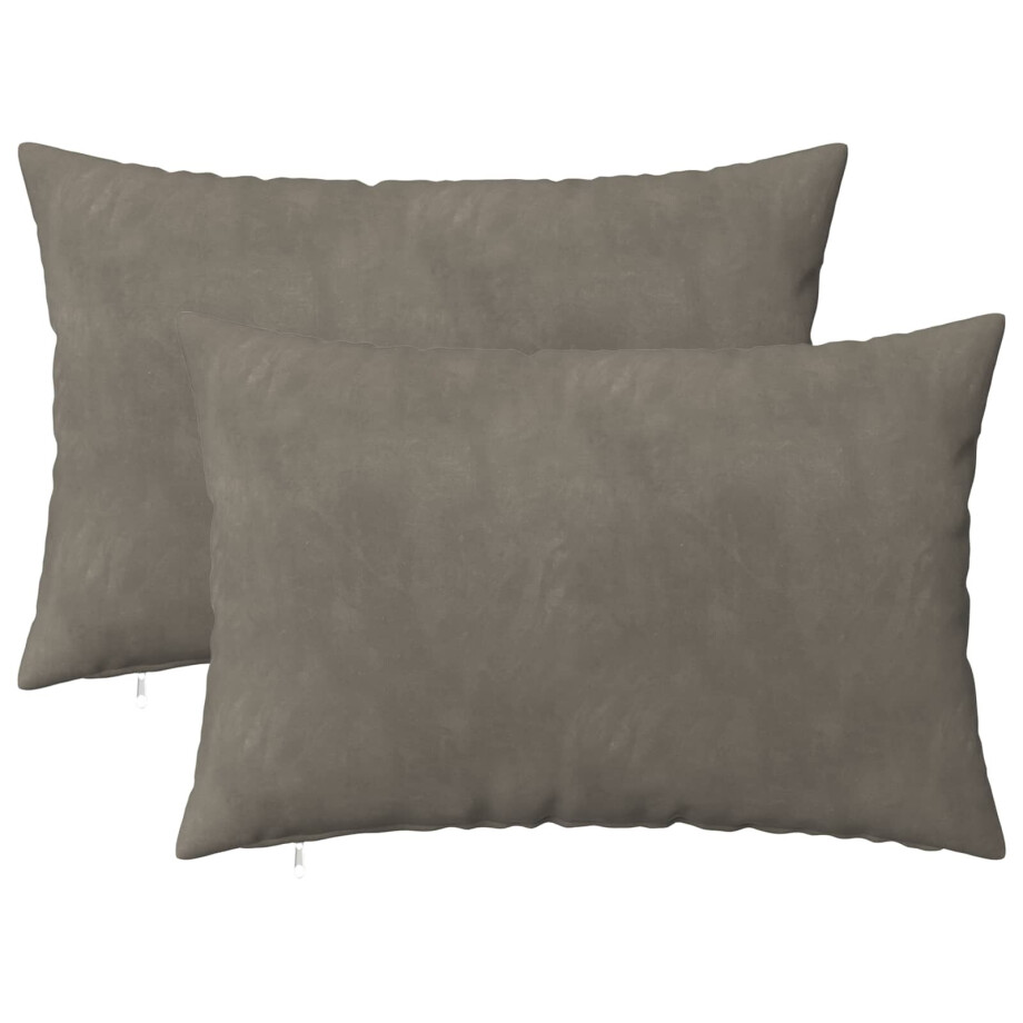 vidaXL Kussensloop 2 pcs HEERLEN Lichtgrijs 50 x 80 cm Fluweel vidaXL Kussensloop 2 pcs HEERLEN Lichtgrijs 50 x 80 cm Fluweel afbeelding 1