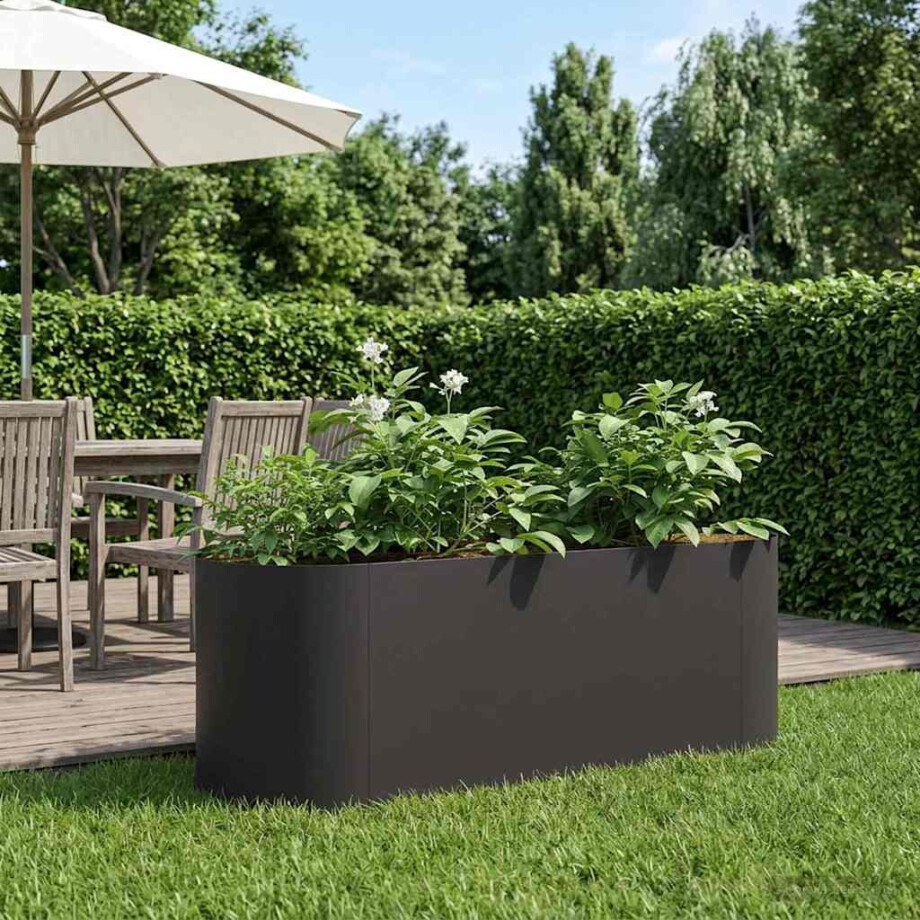 vidaXL Verhoogd Tuinbed Zwart 120 x 40 x 40 cm Staal afbeelding 1