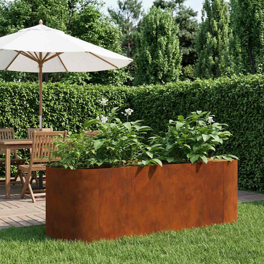 vidaXL Verhoogd Tuinbed weervast staal 120 x 40 x 40 cm afbeelding 1