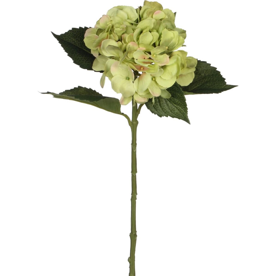 Mica Decorations Kunstbloem - Hortensia tak - groen - 51 cm - losse steel - Kunst zijdebloemen afbeelding 1