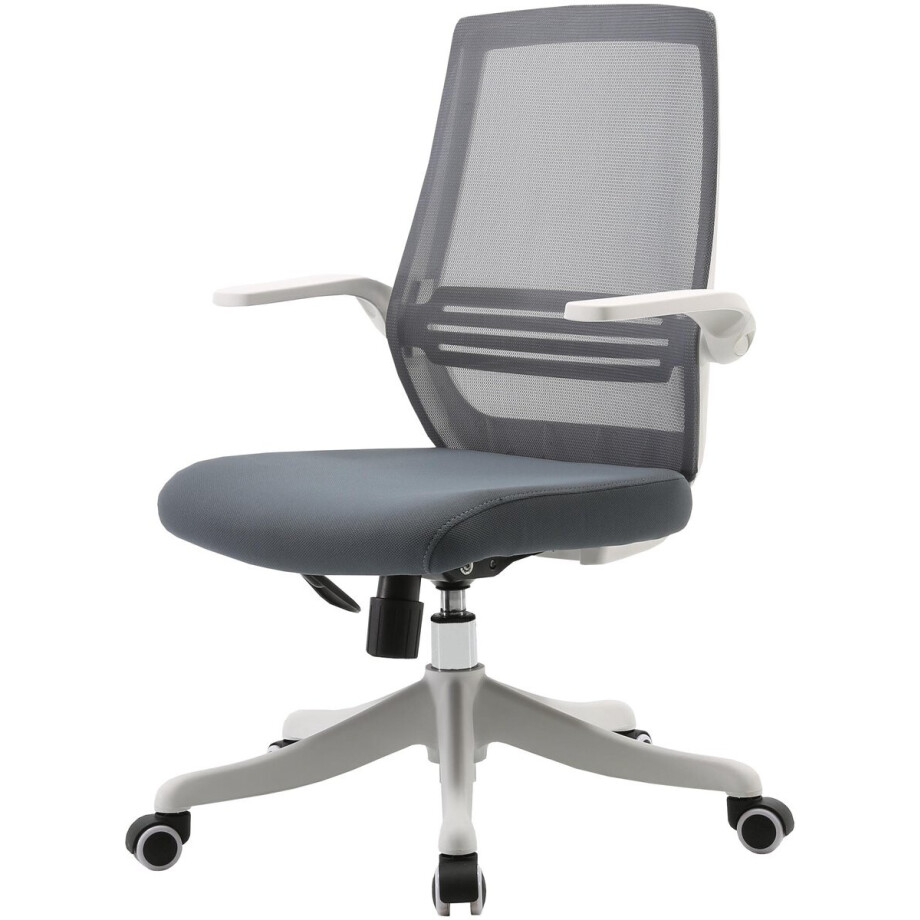 SIHOO Luxe Ergonomische Bureaustoel – Verstelbare Rugsteun & Armleuningen – Ademend Mesh – Comfortabel Kantoorstoel – Grijs afbeelding 1