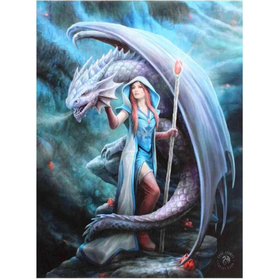 Anne Stokes - Dragon Mage - Canvas afbeelding Anne Stokes - Dragon Mage - Canvas afbeelding afbeelding 1