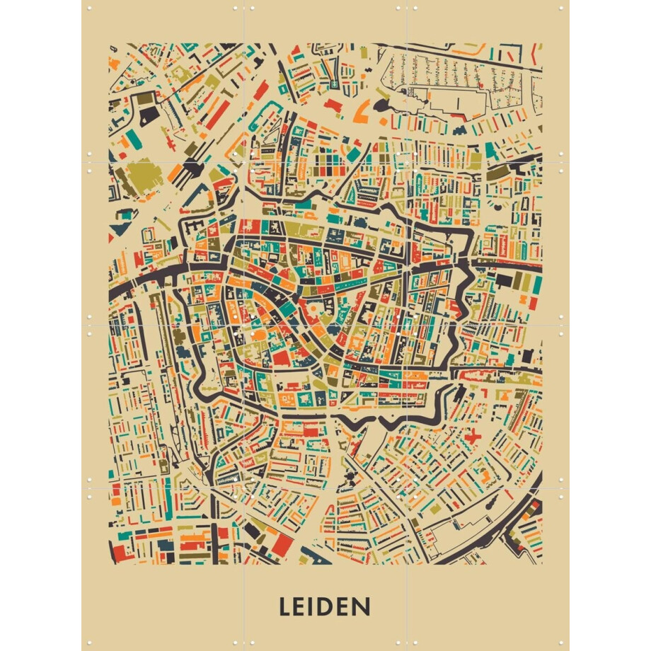 IXXI Leiden Mosaic Map, Kunst in Kaart - 60 x 80 cm - Gratis ophangtool - Grote wanddecoratie en posters - Grafisch Ontwerp, Geometrische Kunst afbeelding 1