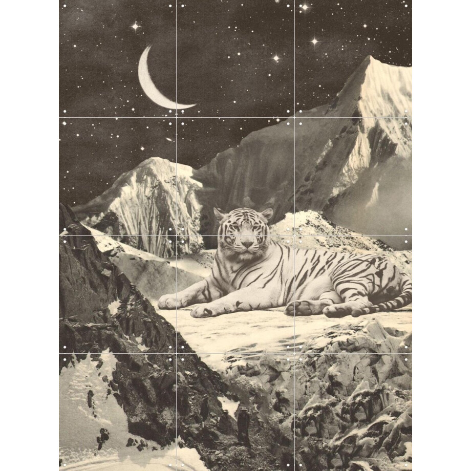 IXXI Giant White Tiger, Florent Bodart - 60 x 80 cm - Gratis ophangtool - Grote wanddecoratie en posters - Illustraties, Surrealisme, Vintage IXXI Giant White Tiger, Florent Bodart - 60 x 80 cm - Gratis ophangtool - Grote wanddecoratie en posters - Illustraties, Surrealisme, Vintage afbeelding 1