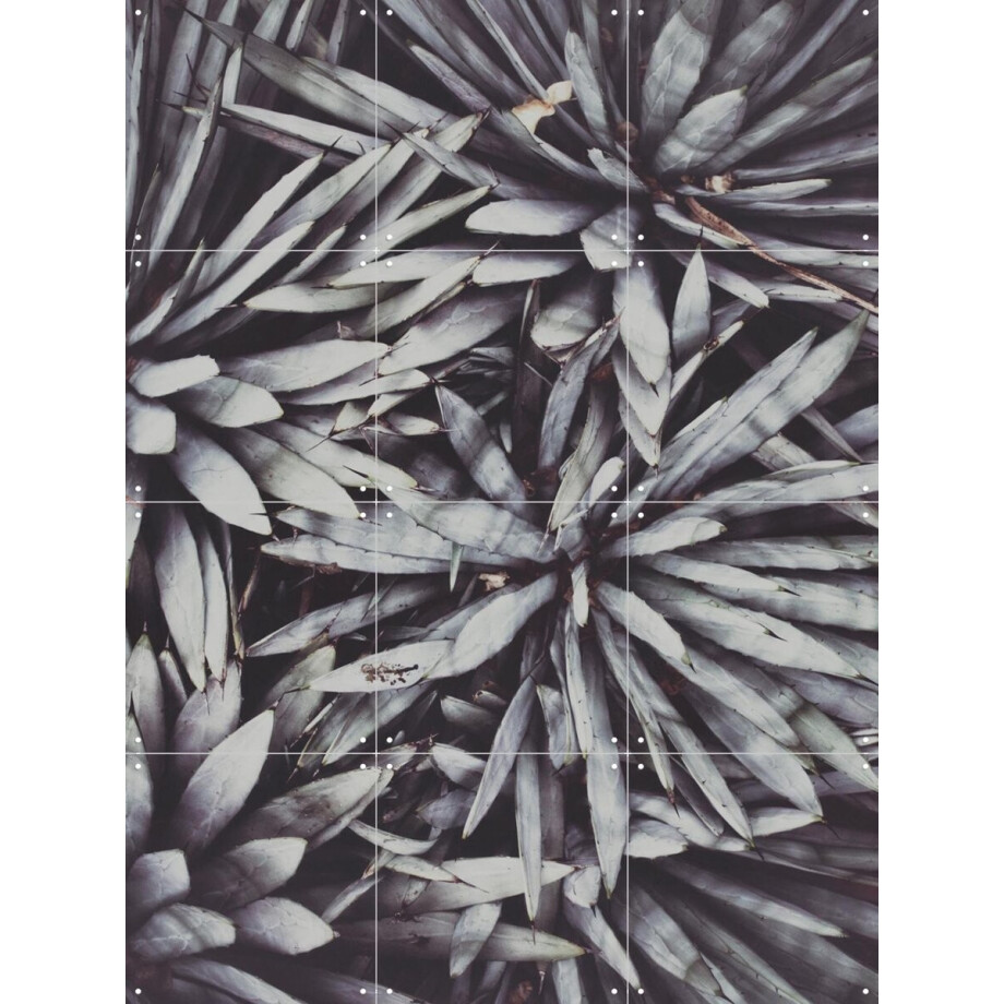 IXXI Polaroids From Saint Laurent 02, STUDIO HANNAH LEMHOLT - 60 x 80 cm - Gratis ophangtool - Grote wanddecoratie en posters - Minimalisme IXXI Polaroids From Saint Laurent 02, STUDIO HANNAH LEMHOLT - 60 x 80 cm - Gratis ophangtool - Grote wanddecoratie en posters - Minimalisme afbeelding 1