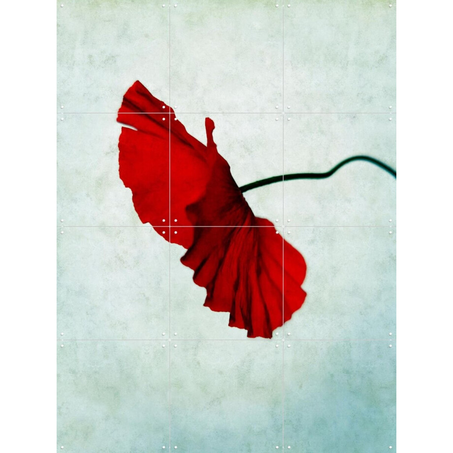 IXXI Red, Angelo Cerantola - 60 x 80 cm - Gratis ophangtool - Grote wanddecoratie en posters - Kleurrijk, Minimalisme, Fotografie, Slaapkamer IXXI Red, Angelo Cerantola - 60 x 80 cm - Gratis ophangtool - Grote wanddecoratie en posters - Kleurrijk, Minimalisme, Fotografie, Slaapkamer afbeelding 1
