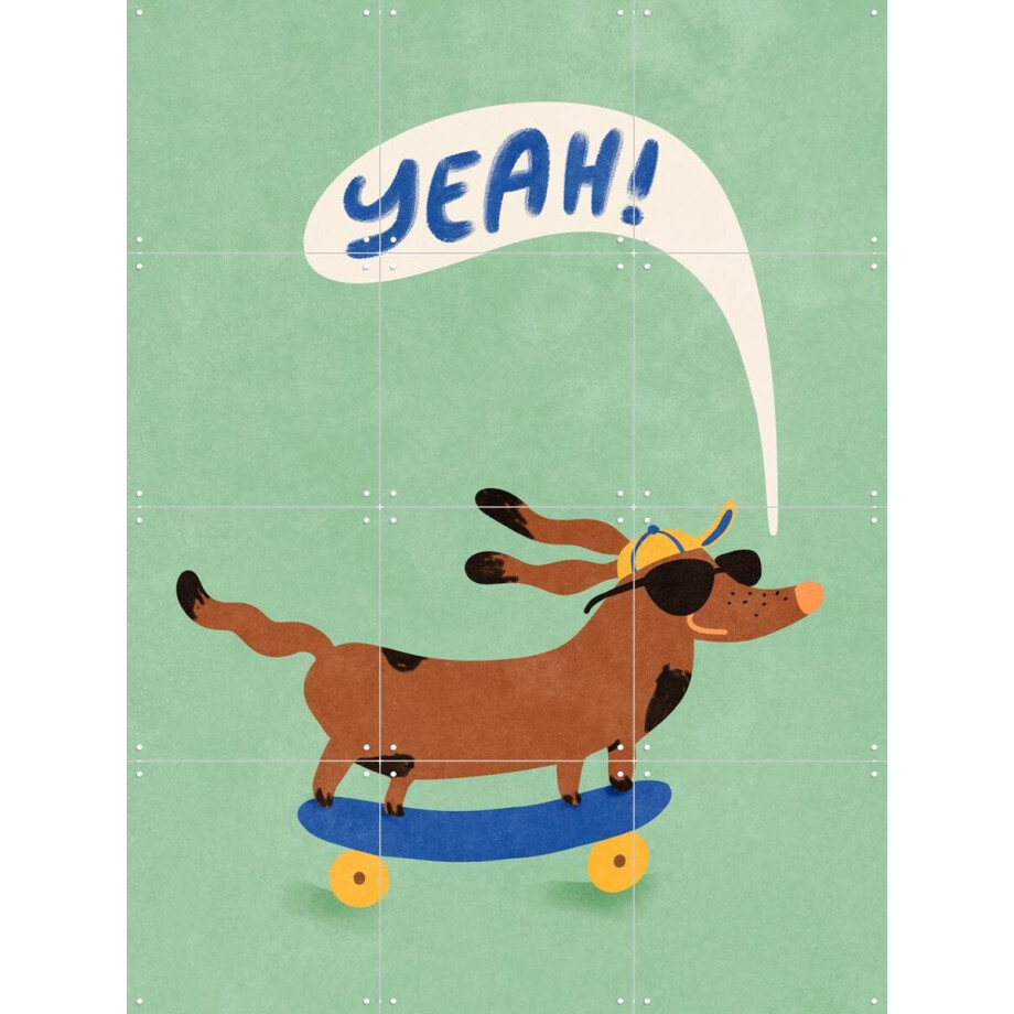 IXXI Cool Dog On Skateboard, Raissa Oltmanns - 60 x 80 cm - Gratis ophangtool - Grote wanddecoratie en posters - Illustraties, Speels, Kleurrijk afbeelding 1