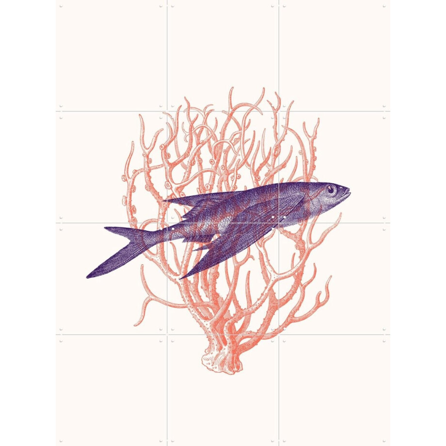 IXXI The Dance, Florent Bodart - 60 x 80 cm - Gratis ophangtool - Grote wanddecoratie en posters - Grafisch Ontwerp, Illustraties, Woonkamer afbeelding 1