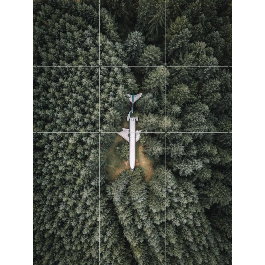 IXXI Airplane Home, Tristan Zhou - 60 x 80 cm - Gratis ophangtool - Grote wanddecoratie en posters - Fotografie, Woonkamer, Mancave, Bossen, Natuur afbeelding 1
