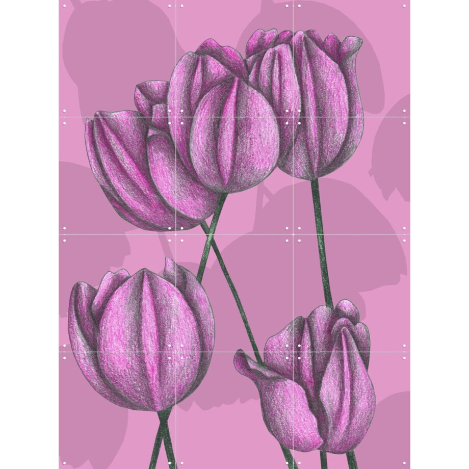 IXXI Purple Tulips, Cecilia Battaini - 60 x 80 cm - Gratis ophangtool - Grote wanddecoratie en posters - Naturalisme, Tekeningen, Illustraties, Gang afbeelding 1