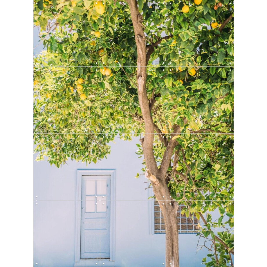 IXXI Blue House Lemon Tree, Pati Photography - 60 x 80 cm - Gratis ophangtool - Grote wanddecoratie en posters - Kleurrijk, Fotografie, Keuken afbeelding 1