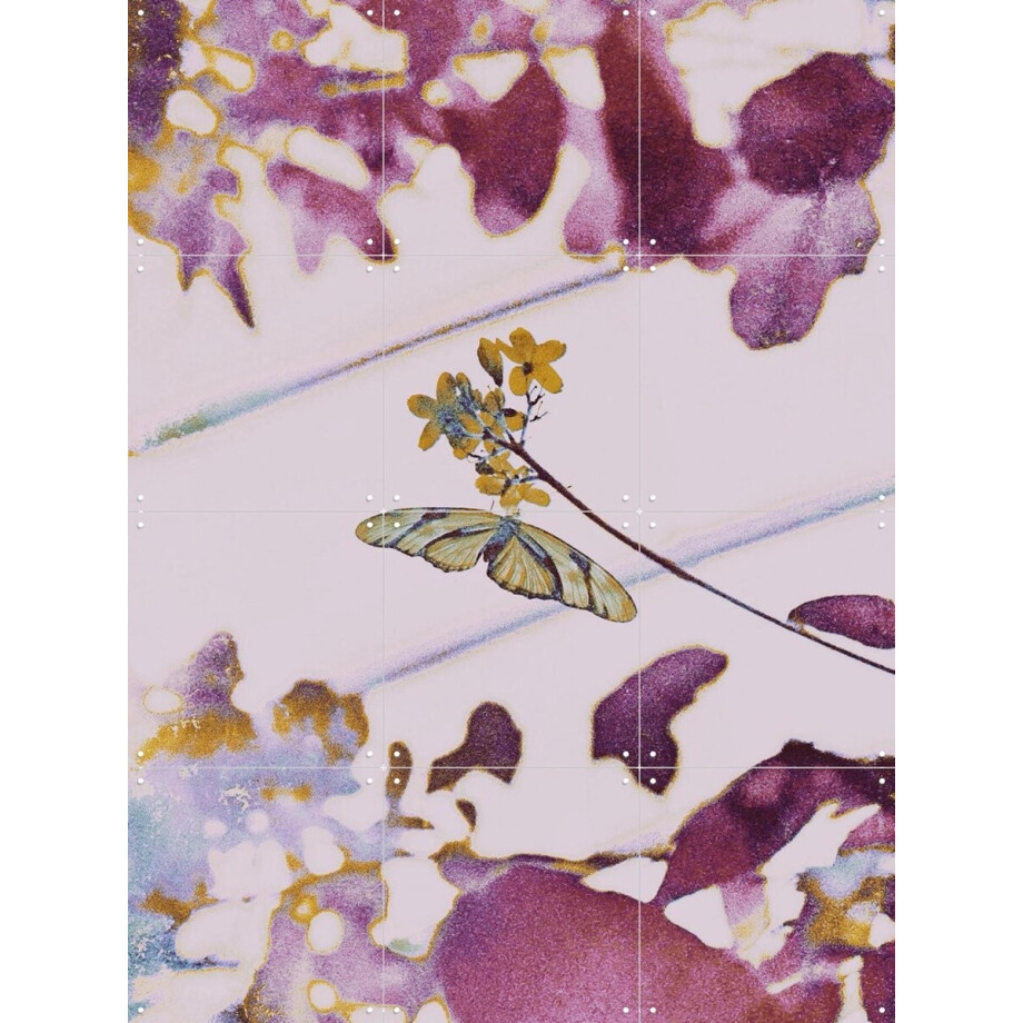 IXXI For The Better, Amber Lauder - 60 x 80 cm - Gratis ophangtool - Grote wanddecoratie en posters - Abstract, Aquarel, Kleurrijk, Woonkamer afbeelding 1