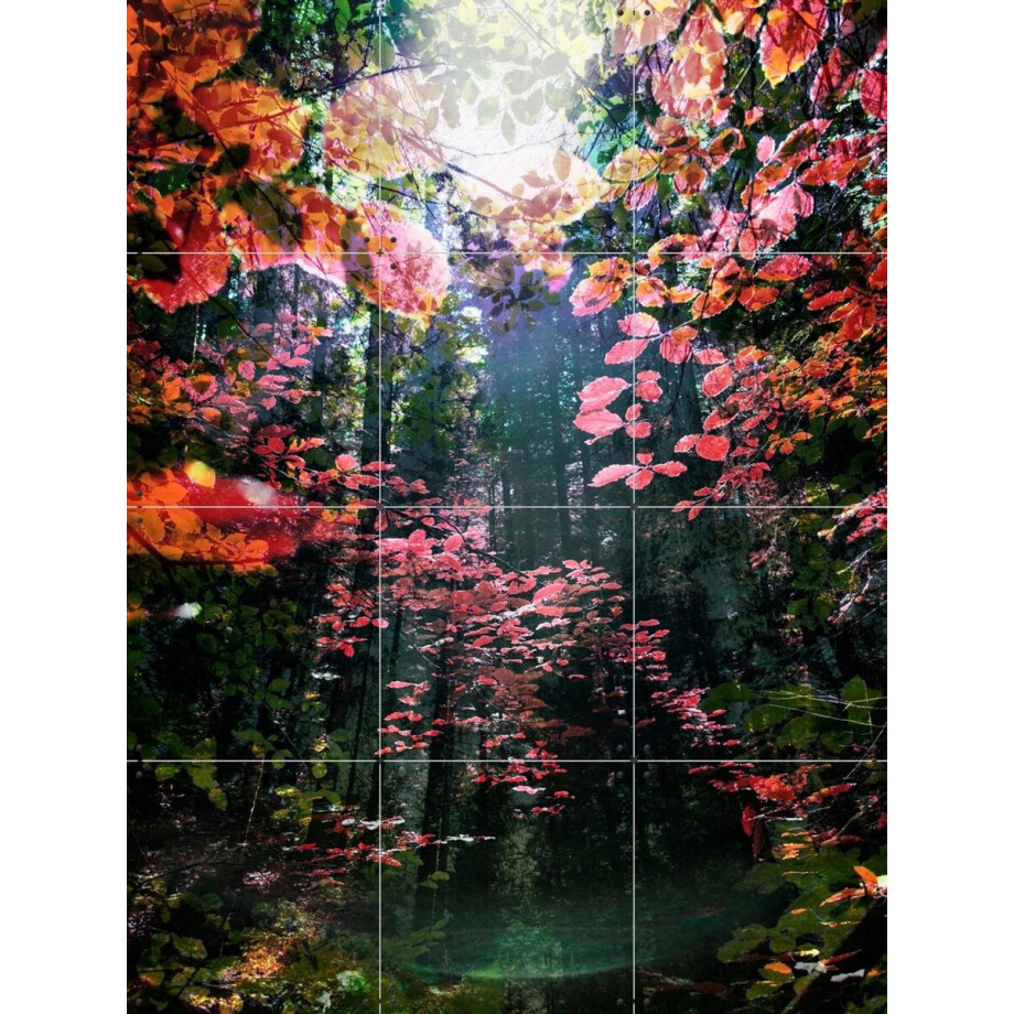 IXXI Enchanted, Angelo Cerantola - 60 x 80 cm - Gratis ophangtool - Grote wanddecoratie en posters - Fotografie, Gemengde Technieken, Woonkamer afbeelding 1