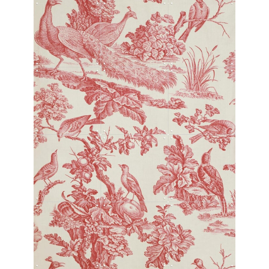 IXXI Birds and Fruit, Victoria and Albert Museum - 60 x 80 cm - Gratis ophangtool - Grote wanddecoratie en posters - Vintage, Klassiek, Houtsnede afbeelding 1