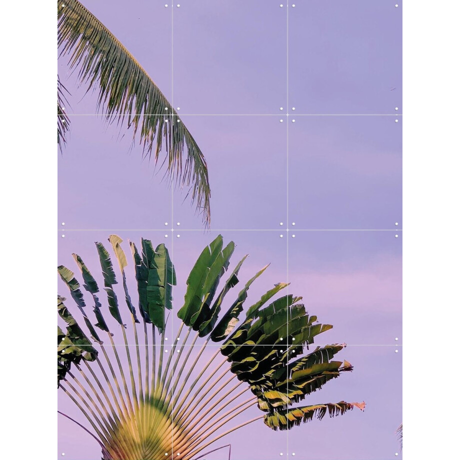 IXXI Tropical Sunset, We Like Bali - 60 x 80 cm - Gratis ophangtool - Grote wanddecoratie en posters - Naturalisme, Fotografie, Kleurrijk, Slaapkamer IXXI Tropical Sunset, We Like Bali - 60 x 80 cm - Gratis ophangtool - Grote wanddecoratie en posters - Naturalisme, Fotografie, Kleurrijk, Slaapkamer afbeelding 1