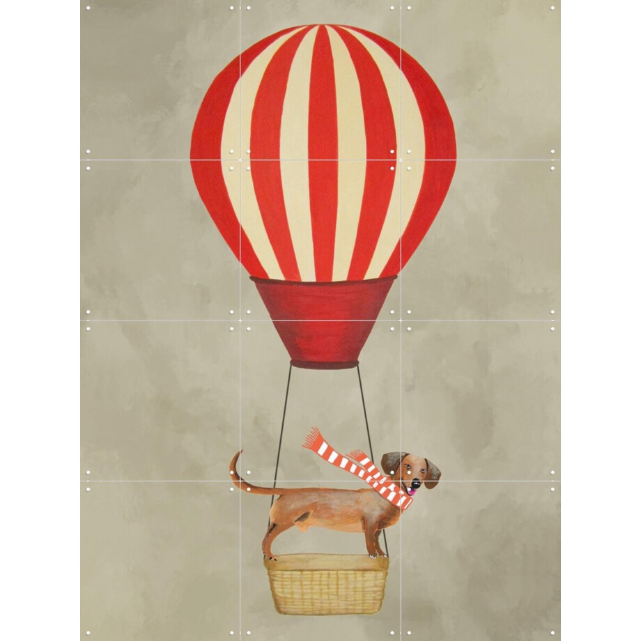 IXXI Dachshund with airballoon, Coco de Paris - 60 x 80 cm - Gratis ophangtool - Grote wanddecoratie en posters - Digitale Kunst, Speels, Cartoonesk IXXI Dachshund with airballoon, Coco de Paris - 60 x 80 cm - Gratis ophangtool - Grote wanddecoratie en posters - Digitale Kunst, Speels, Cartoonesk afbeelding 1