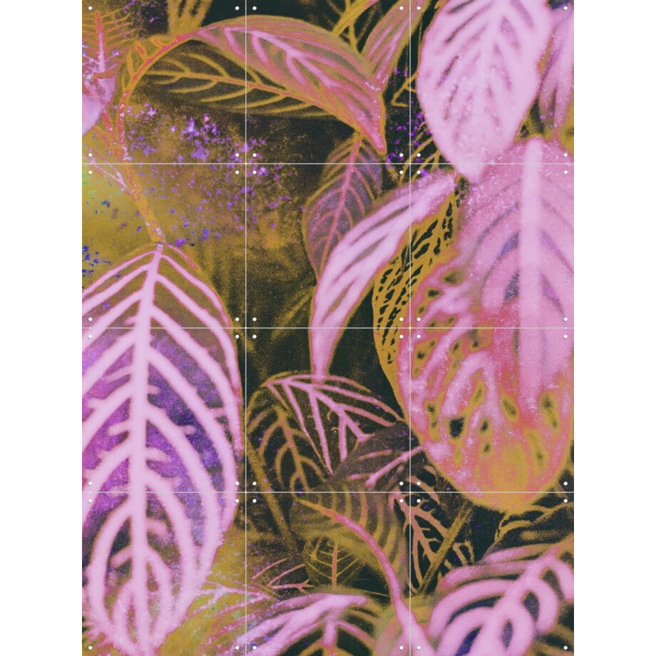 IXXI Seek, Amber Lauder - 60 x 80 cm - Gratis ophangtool - Grote wanddecoratie en posters - Abstract, Illustraties, Digitale Kunst, Kleurrijk afbeelding 1