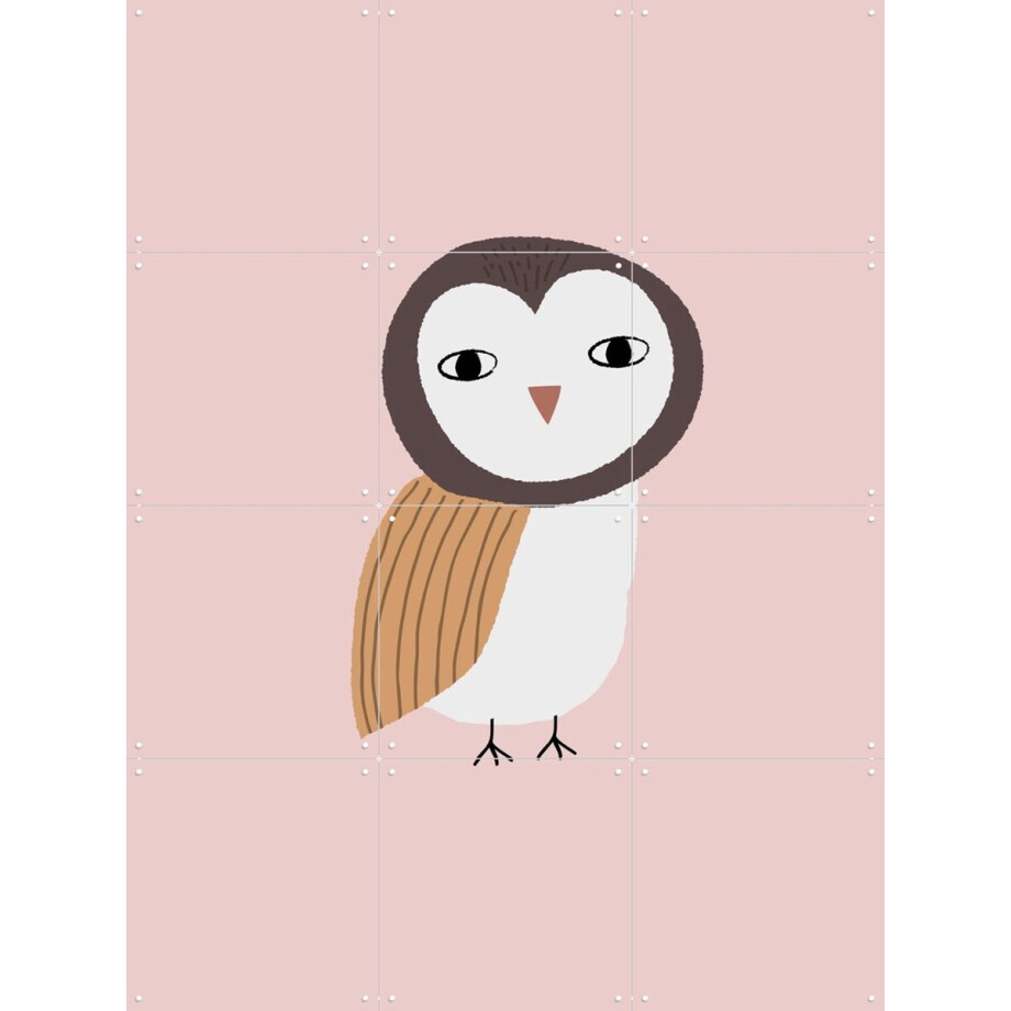IXXI Owl Rose, Little Otja - 60 x 80 cm - Gratis ophangtool - Grote wanddecoratie en posters - Fantasierijk, Grafisch Ontwerp, Cartoonesk, Speels afbeelding 1