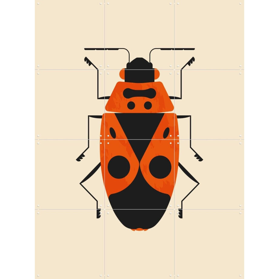 IXXI The Firebug, Studio Kars + Boom - 60 x 80 cm - Gratis ophangtool - Grote wanddecoratie en posters - Speels, Kleurrijk, Digitale Kunst afbeelding 1