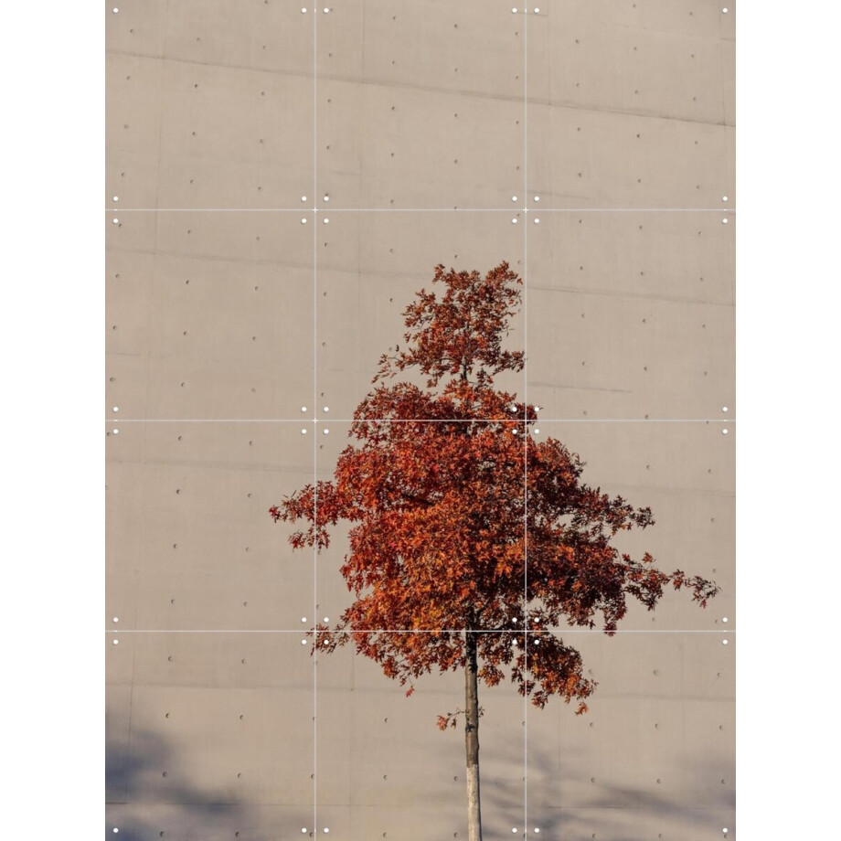 IXXI One Autumn Tree, Mareike Böhmer - 60 x 80 cm - Gratis ophangtool - Grote wanddecoratie en posters - Fotografie, Minimalisme, Slaapkamer afbeelding 1