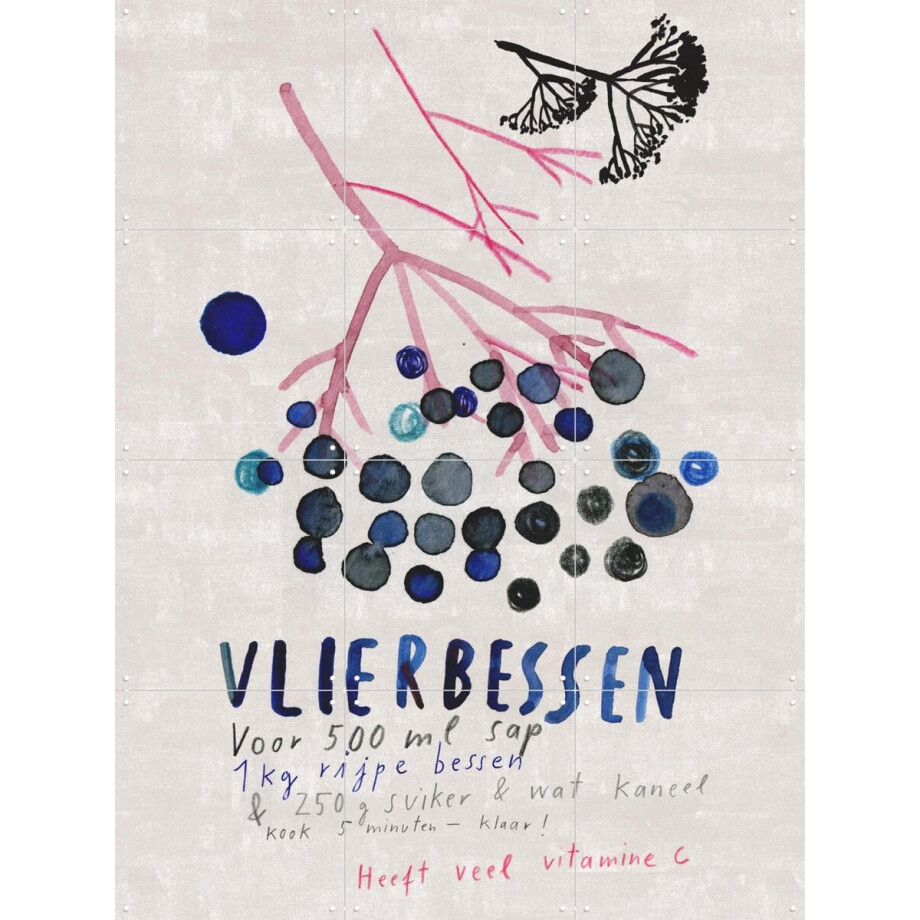 IXXI Vlierbessen, Signorinah - 60 x 80 cm - Gratis ophangtool - Grote wanddecoratie en posters - Illustraties, Natuur, Eten & Drinken afbeelding 1