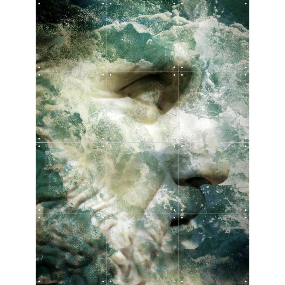 IXXI Captain, Angelo Cerantola - 60 x 80 cm - Gratis ophangtool - Grote wanddecoratie en posters - Gemengde Technieken, Grafisch Ontwerp, Fotografie afbeelding 1