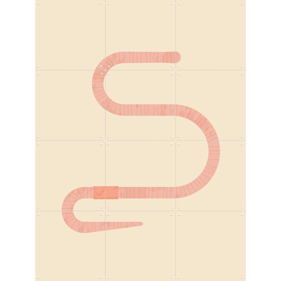 IXXI The Earthworm, Studio Kars + Boom - 60 x 80 cm - Gratis ophangtool - Grote wanddecoratie en posters - Illustraties, Line art, Grafisch Ontwerp IXXI The Earthworm, Studio Kars + Boom - 60 x 80 cm - Gratis ophangtool - Grote wanddecoratie en posters - Illustraties, Line art, Grafisch Ontwerp afbeelding 1