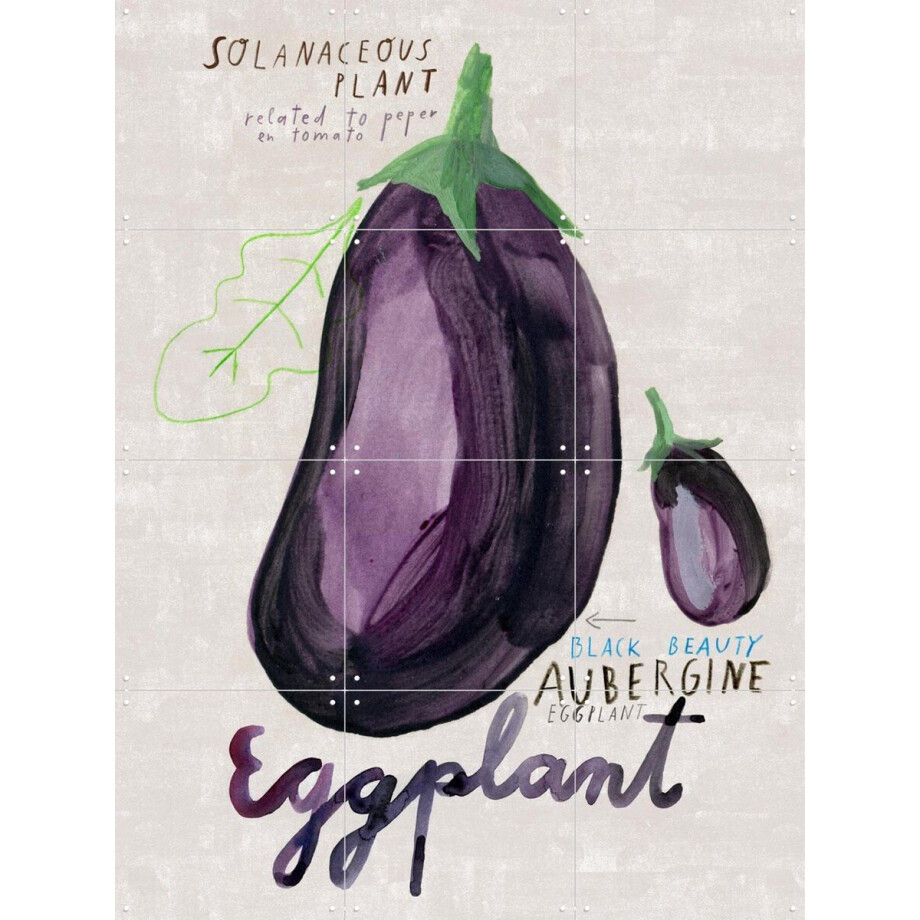 IXXI Eggplant, Signorinah - 60 x 80 cm - Gratis ophangtool - Grote wanddecoratie en posters - Aquarel, Speels, Illustraties, Eetkamer, Keuken afbeelding 1
