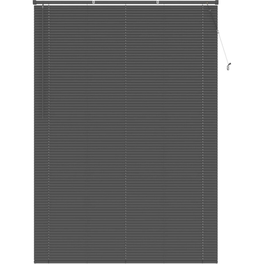 vidaXL - Venetiaanse - jaloezie - Zilvergrijs - 213 - x - 160 - cm - 25 - mm - PVC vidaXL - Venetiaanse - jaloezie - Zilvergrijs - 213 - x - 160 - cm - 25 - mm - PVC afbeelding 1