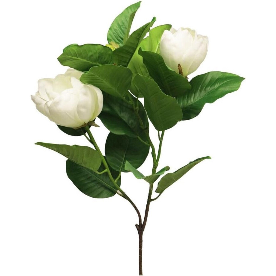 Gifts Amsterdam Kunstbloem Magnolia Grandiflora Zijde Ivoorwit Gifts Amsterdam Kunstbloem Magnolia Grandiflora Zijde Ivoorwit afbeelding 1