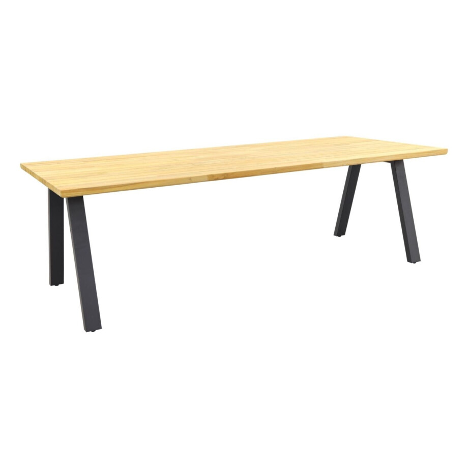 Taste by 4 Seasons Tuintafel Ambassador Antraciet 300 x 100 cm afbeelding 