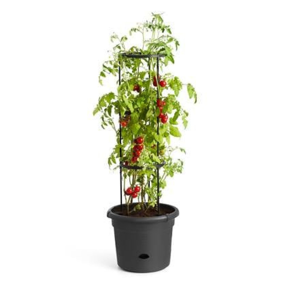 elho Green Basics Tomatenpot 33 cm afbeelding 1