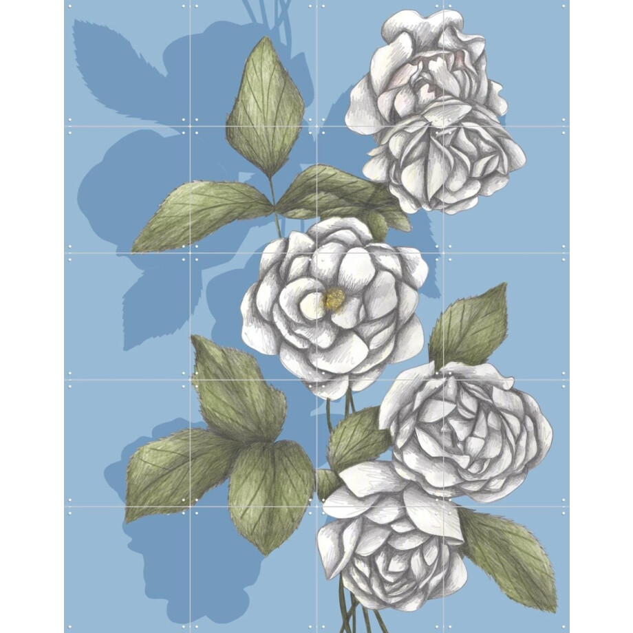 IXXI White Roses, Cecilia Battaini - 80 x 100 cm - Gratis ophangtool - Grote wanddecoratie en posters - Naturalisme, Illustraties, Tekeningen afbeelding 1