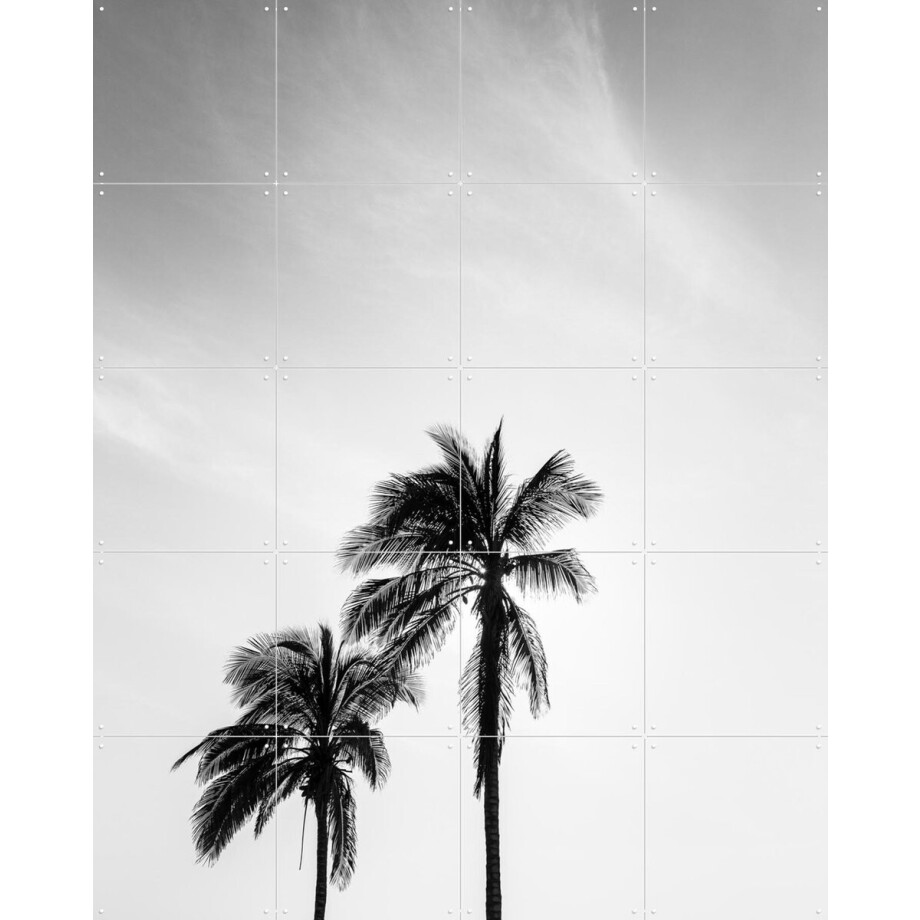 IXXI Palms In The Middle East, Photolovers - 80 x 100 cm - Gratis ophangtool - Grote wanddecoratie en posters - Naturalisme, Minimalisme, Abstract afbeelding 1