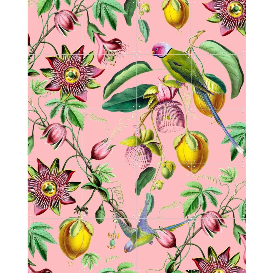 IXXI Botanical Garden, Creative Lab Amsterdam - 80 x 100 cm - Gratis ophangtool - Grote wanddecoratie en posters - Kleurrijk, Kinderkamer, Babykamer afbeelding 