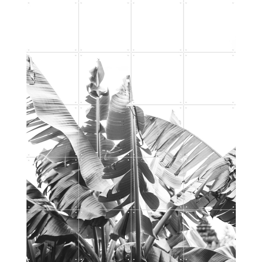 IXXI Banana Tree, Pati Photography - 80 x 100 cm - Gratis ophangtool - Grote wanddecoratie en posters - Fotografie, Slaapkamer, Woonkamer, Natuur afbeelding 1