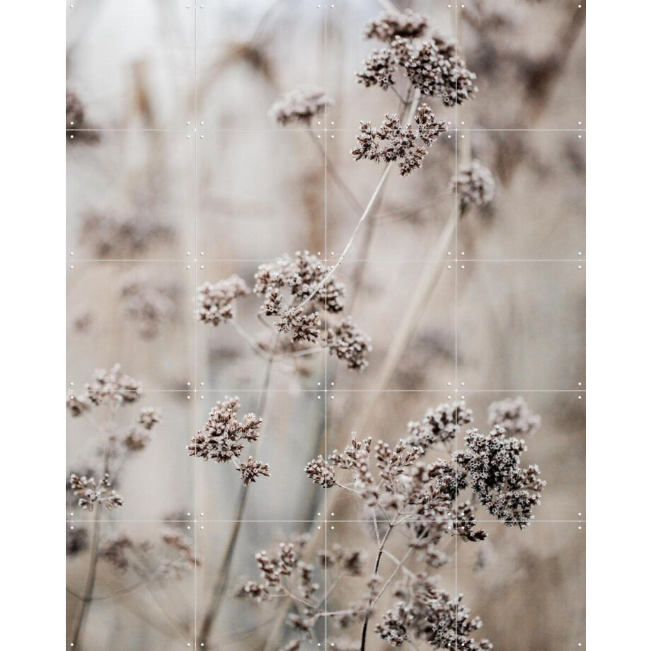 IXXI Unknown 8, Mareike Böhmer - 80 x 100 cm - Gratis ophangtool - Grote wanddecoratie en posters - Fotografie, Naturalisme, Woonkamer, Slaapkamer afbeelding 1