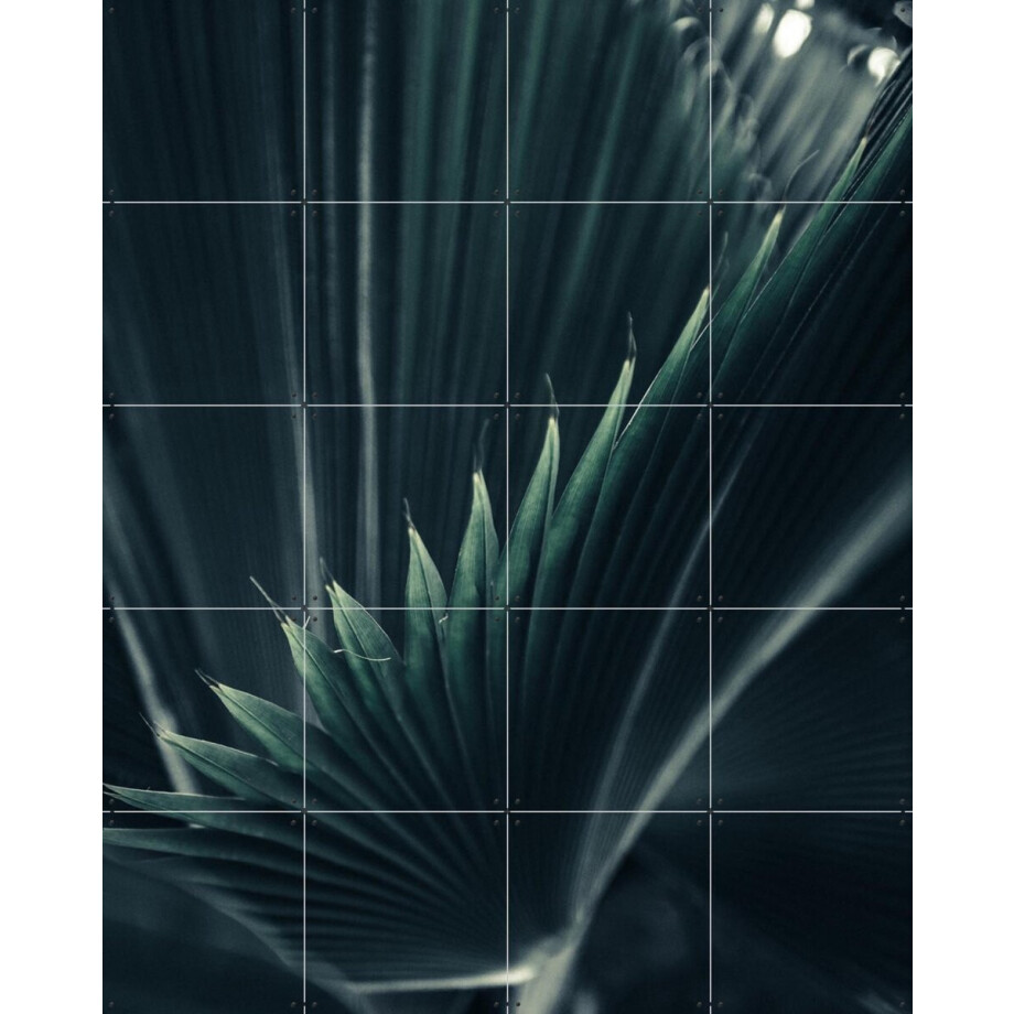 IXXI Palm Shade 1, Chris Abatzis - 80 x 100 cm - Gratis ophangtool - Grote wanddecoratie en posters - Fotografie, Woonkamer, Slaapkamer, Planten IXXI Palm Shade 1, Chris Abatzis - 80 x 100 cm - Gratis ophangtool - Grote wanddecoratie en posters - Fotografie, Woonkamer, Slaapkamer, Planten afbeelding 1