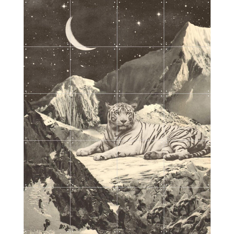 IXXI Giant White Tiger, Florent Bodart - 80 x 100 cm - Gratis ophangtool - Grote wanddecoratie en posters - Vintage, Illustraties, Surrealisme afbeelding 1